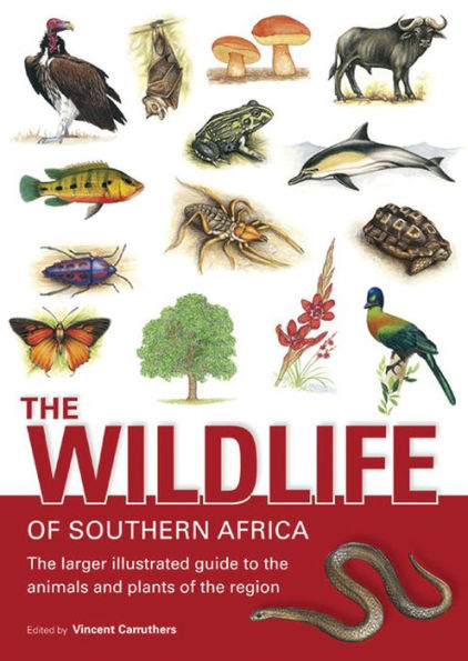 The Wildlife of Southern Africa: The Larger Illustrated Guide to the Animals and Plants of the Region