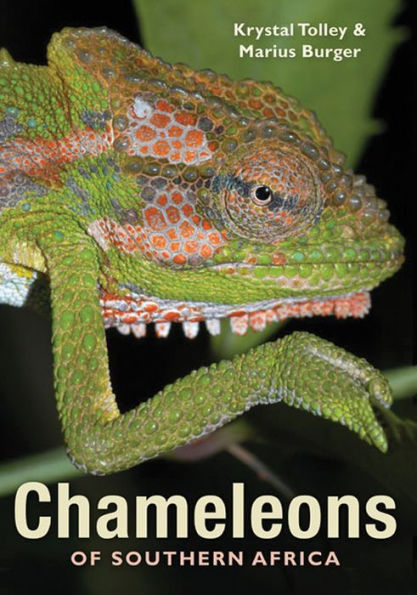 Chameleons of Southern Africa