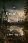 A Desolate Splendor: A Novel