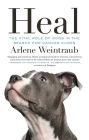 Heal: The Vital Role of Dogs in the Search for Cancer Cures