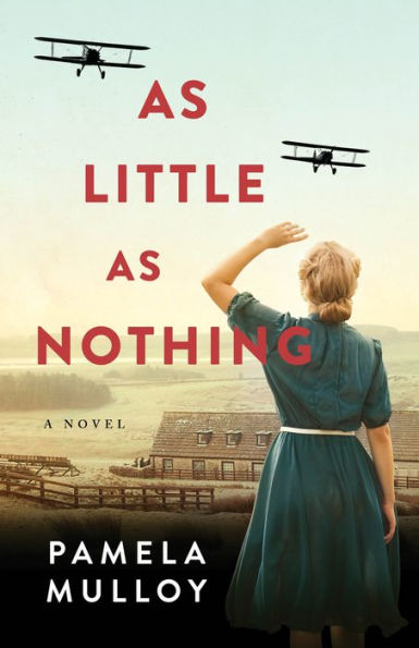 As Little Nothing: A Novel