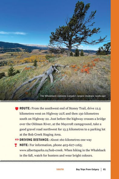 Day Trips from Calgary: 4th Edition (Revised and Updated)