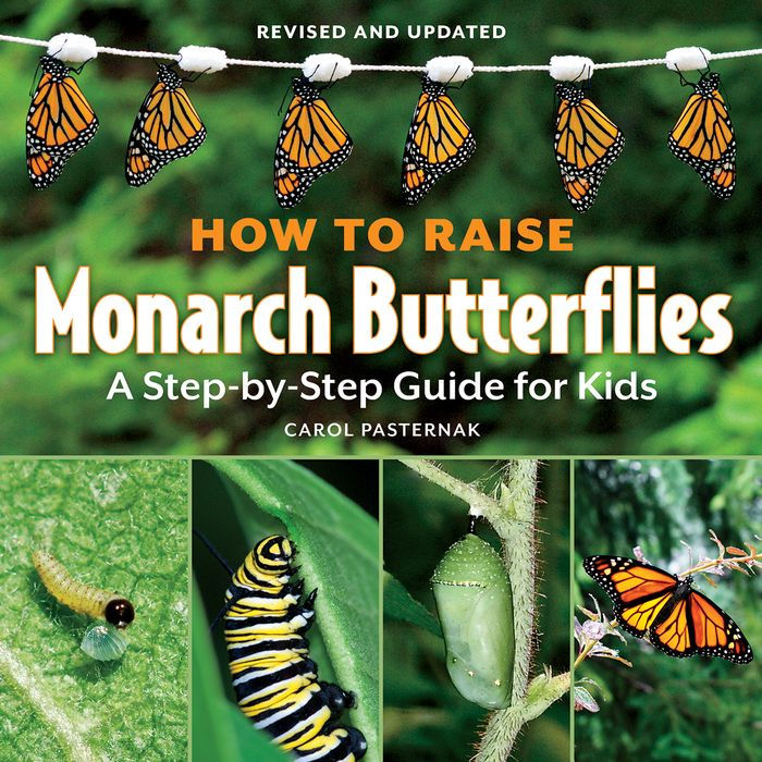 How to Raise Monarch Butterflies: A Step-by-Step Guide for Kids