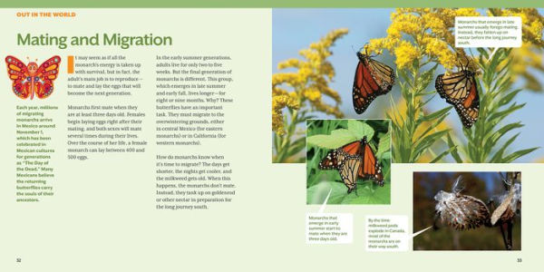 How to Raise Monarch Butterflies: A Step-by-Step Guide for Kids