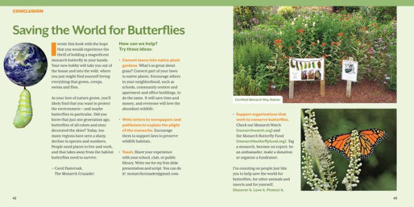 How to Raise Monarch Butterflies: A Step-by-Step Guide for Kids