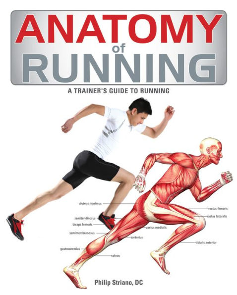 Anatomy of Running: A Trainer's Guide to Running