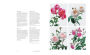 The English Roses: Classic Favorites and New Selections by David Austin ...