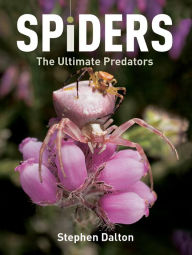 Title: Spiders: The Ultimate Predators, Author: Stephen Dalton