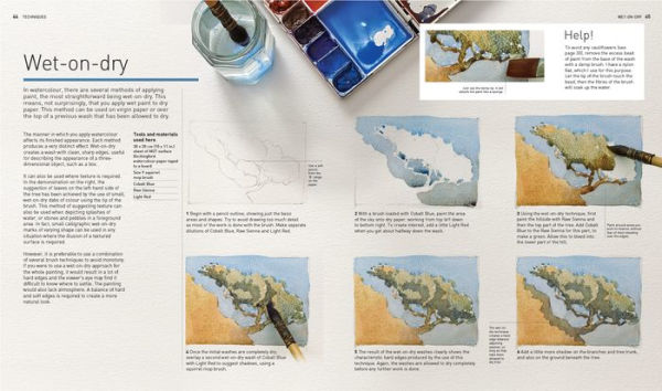 Painting in Acrylics: The Indispensable Guide