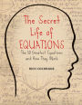 The Secret Life of Equations: The 50 Greatest Equations and How They Work