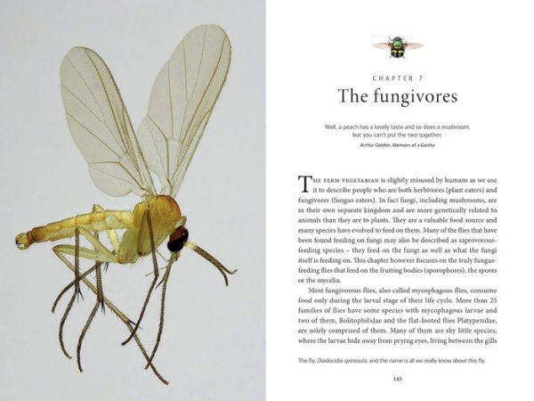 The Secret Life of Flies