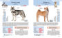Alternative view 5 of Every Dog: A Book of Over 450 Breeds
