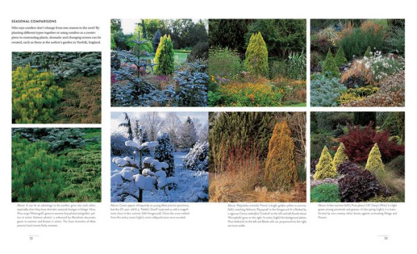 Gardening with Conifers