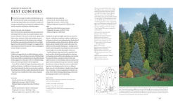 Alternative view 14 of Gardening with Conifers