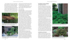 Alternative view 3 of Gardening with Conifers
