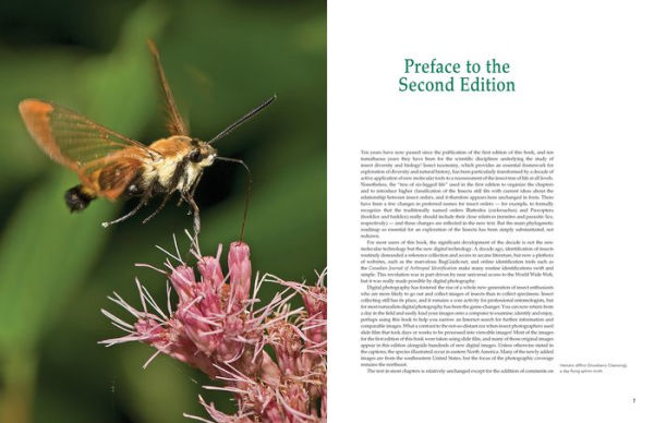 Insects: Their Natural History and Diversity: With a Photographic Guide to Insects of Eastern North America