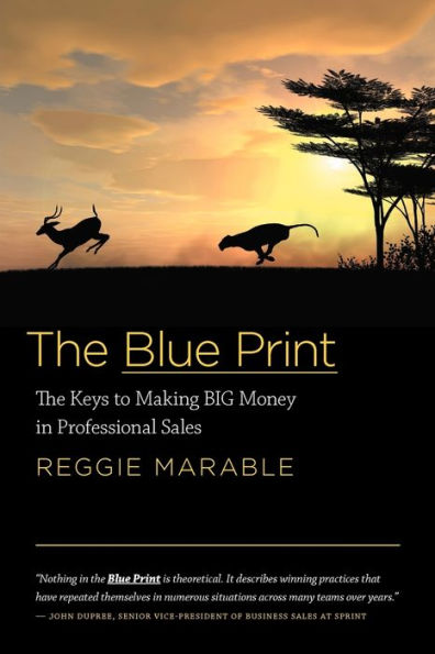 The Blue Print: Keys to Making BIG Money Professional Sales