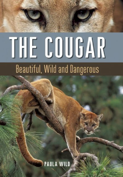 The Cougar: Beautiful, Wild and Dangerous