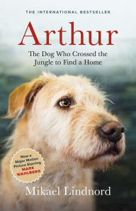 Title: Arthur: The Dog who Crossed the Jungle to Find a Home, Author: Mikael Lindnord