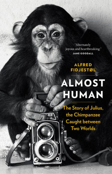 Almost Human: the Story of Julius, Chimpanzee Caught between Two Worlds