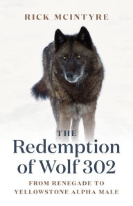 Title: The Redemption of Wolf 302: From Renegade to Yellowstone Alpha Male, Author: Rick McIntyre