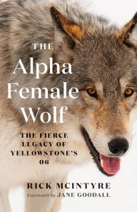 Download free books online torrent The Alpha Female Wolf: The Fierce Legacy of Yellowstone's 06 English version 9781771648585  by Rick McIntyre, Jane Goodall, Rick McIntyre, Jane Goodall