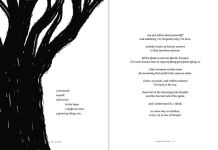 Alternative view 10 of Murmuration