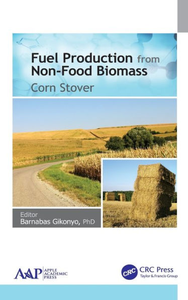 Fuel Production from Non-Food Biomass: Corn Stover / Edition 1