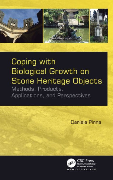 Coping with Biological Growth on Stone Heritage Objects: Methods, Products, Applications, and Perspectives