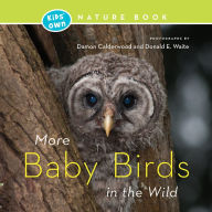 Title: More Baby Birds in the Wild, Author: Damon Calderwood