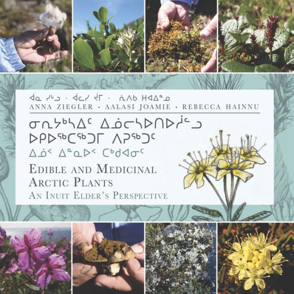 Edible and Medicinal Arctic Plants: An Inuit Elder's Perspective