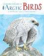 A Children's Guide to Arctic Birds