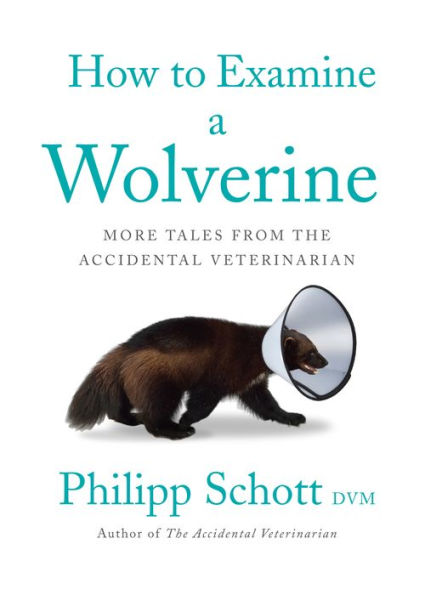 How to Examine a Wolverine: More Tales from the Accidental Veterinarian