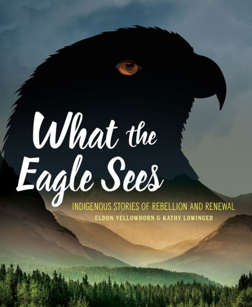 What the Eagle Sees: Indigenous Stories of Rebellion and Renewal by Eldon  Yellowhorn, Kathy Lowinger, Paperback | Barnes & Noble®