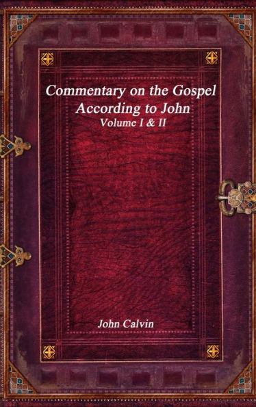 Commentary on the Gospel According to John