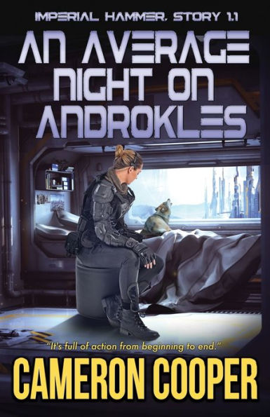 An Average Night on Androkles