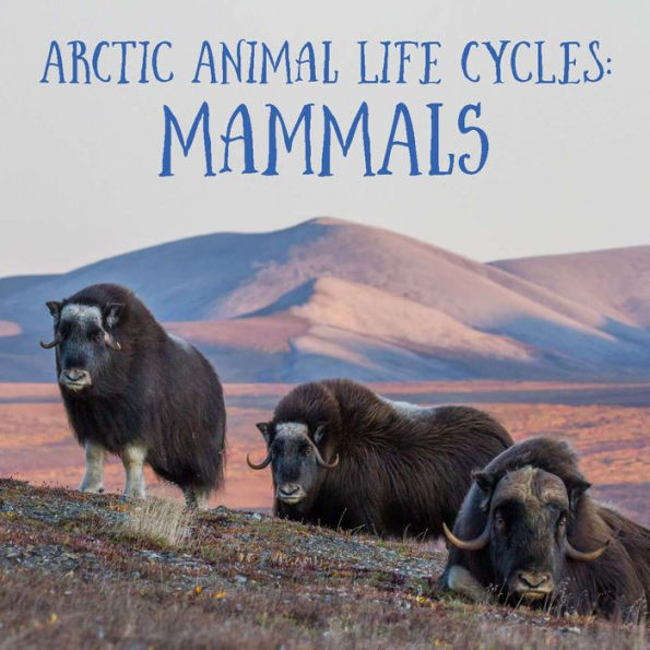 Arctic Animal Life Cycles: Mammals: English Edition