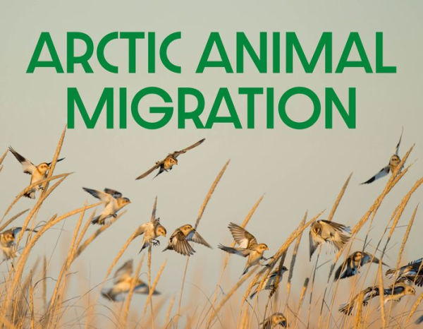 Arctic Animal Migration: English Edition