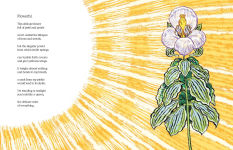 Alternative view 10 of Words with Wings and Magic Things