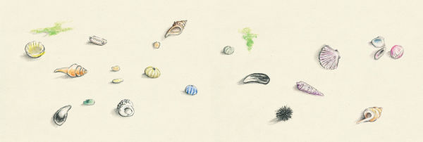What Does Little Crocodile Say At the Beach?
