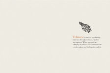 Alternative view 8 of You Were Made for This World: Celebrated Indigenous Voices Speak to Young People