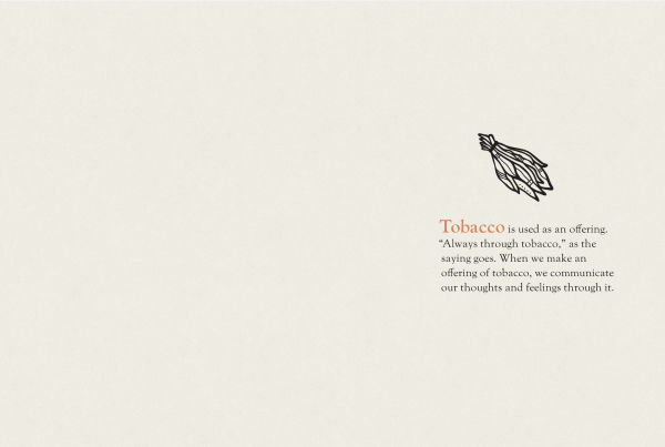 You Were Made for This World: Celebrated Indigenous Voices Speak to Young People