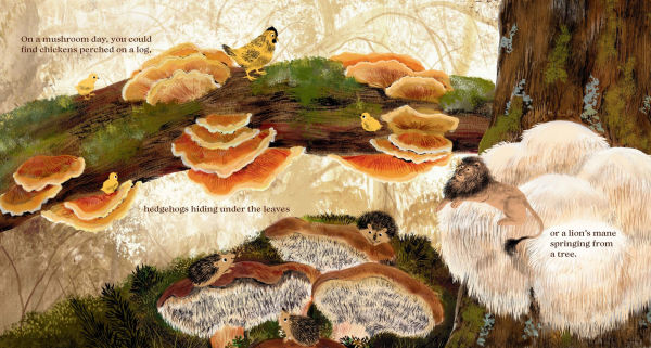 On a Mushroom Day
