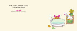 Alternative view 2 of How to Give Your Cat a Bath: in Five Easy Steps