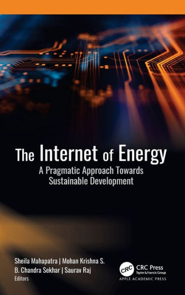 The Internet of Energy: A Pragmatic Approach Towards Sustainable Development