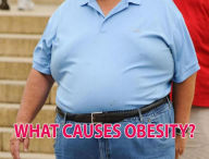 Title: WHAT CAUSES OBESITY?, Author: Torok Thomas