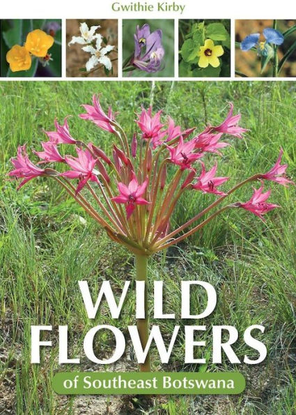 Wild Flowers of Southeast Botswana