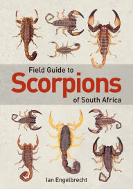 Title: Field Guide to Scorpions of South Africa, Author: Ian Engelbrecht