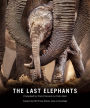 The Last Elephants