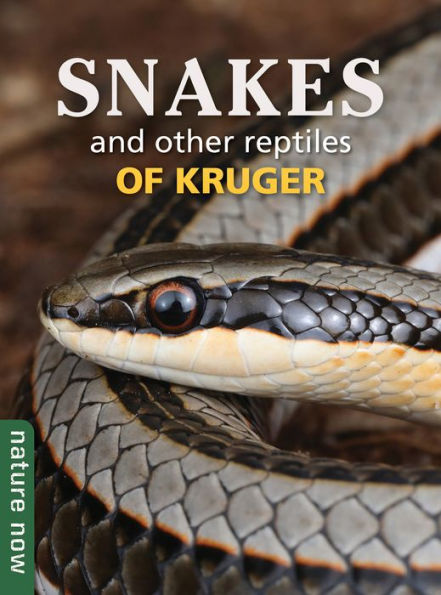 Snakes and other reptiles of Kruger: Nature Now by Johan Marais, Luke ...